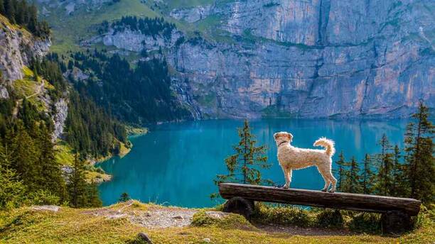 寧波鳳凰山旅游攻略：玩轉(zhuǎn)鳳凰山，暢享美景